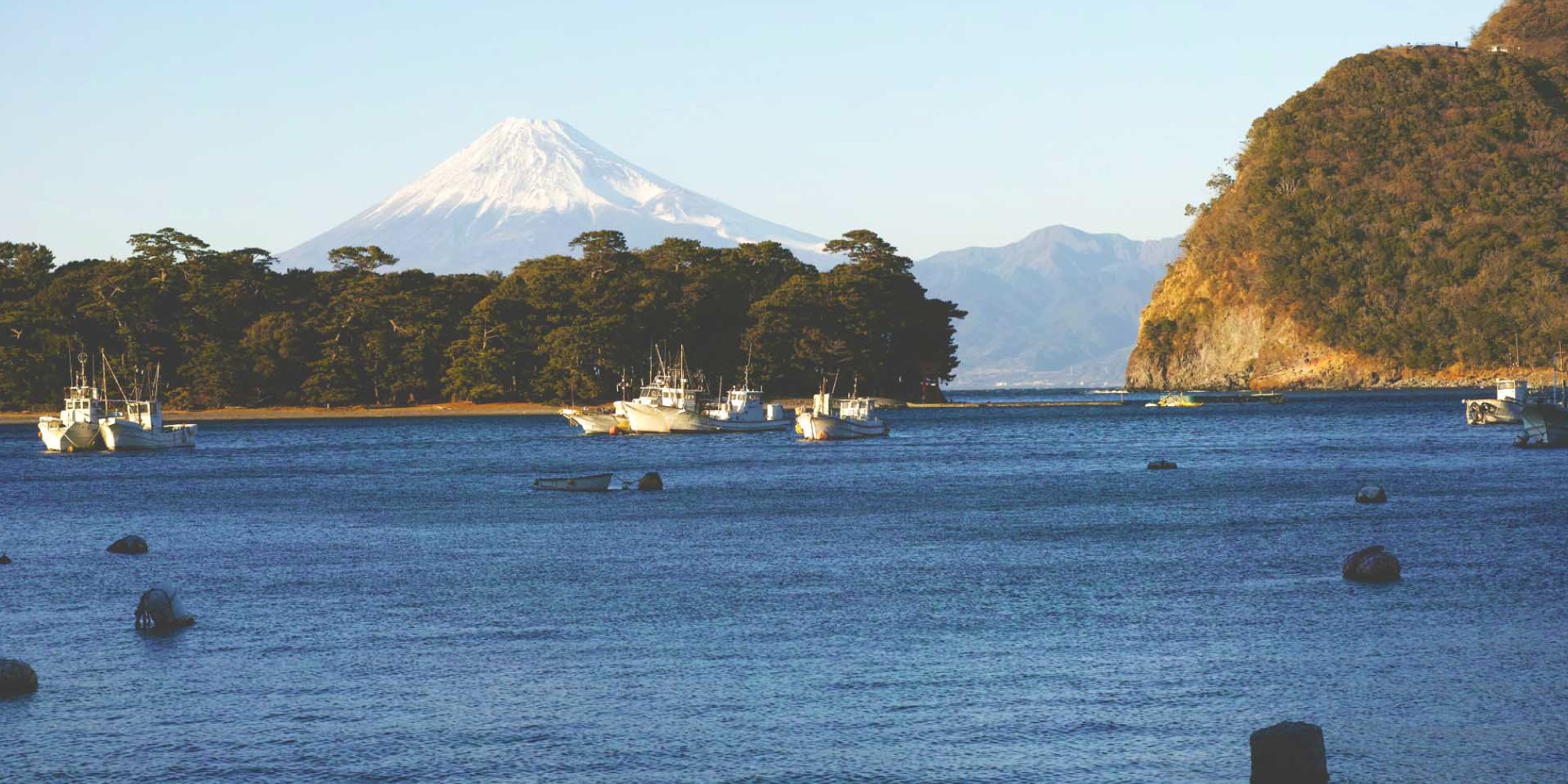 静岡のおみやげはわかふじ