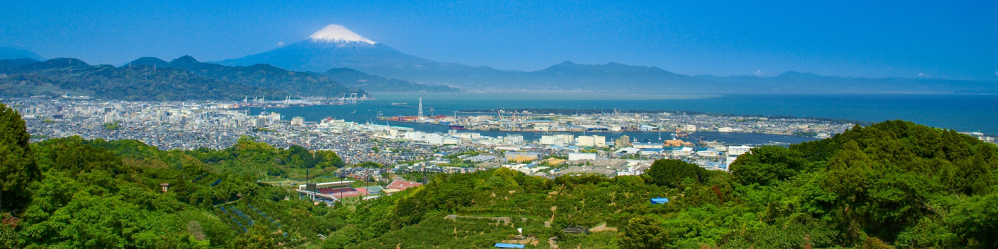 富士山ほろりんしょこら